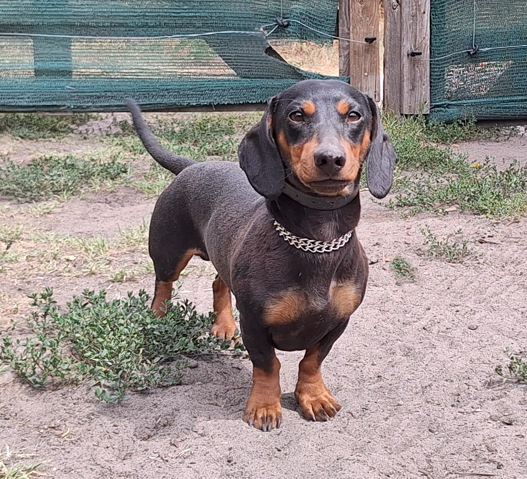 541068814_1211522494347032_3785319594187087735_n