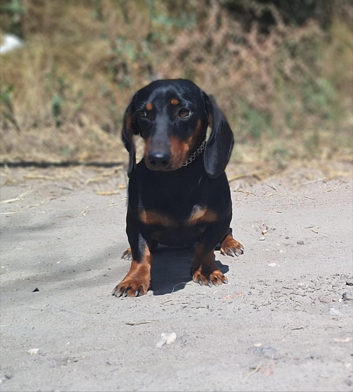 580779053_1281264740706140_8905844037301237442_n