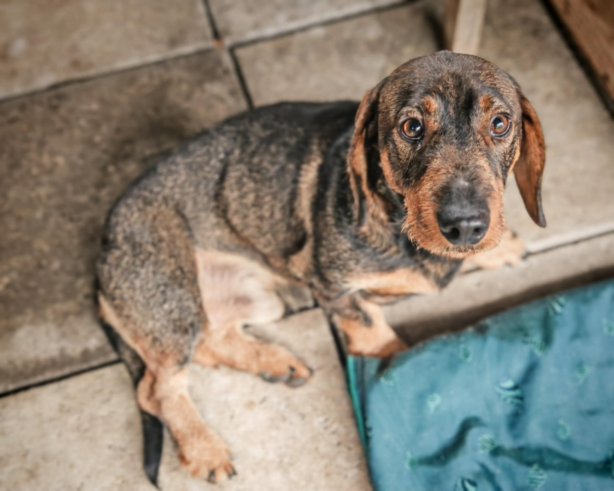 584464430_1286130006886280_8052923448662075243_n