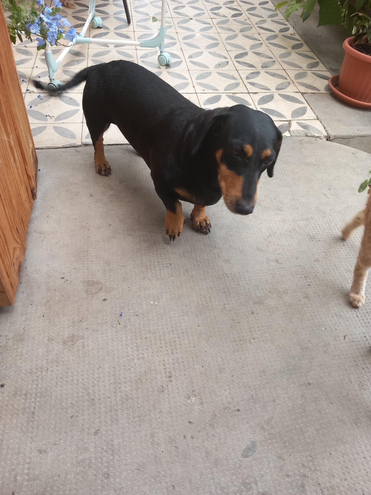 584978008_1286133136885967_2332200851630620978_n