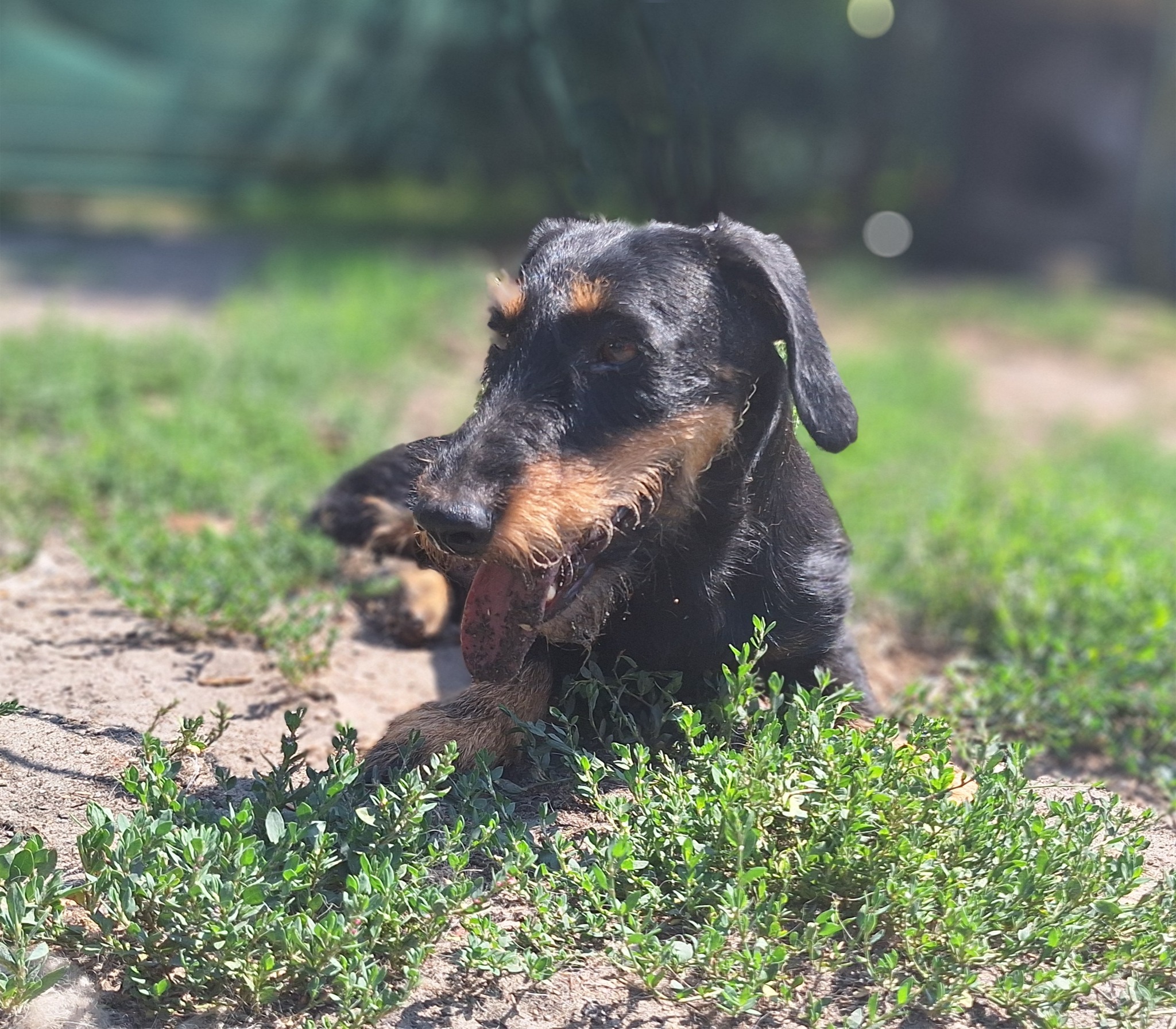 586215084_1286139503551997_812446593444160773_n