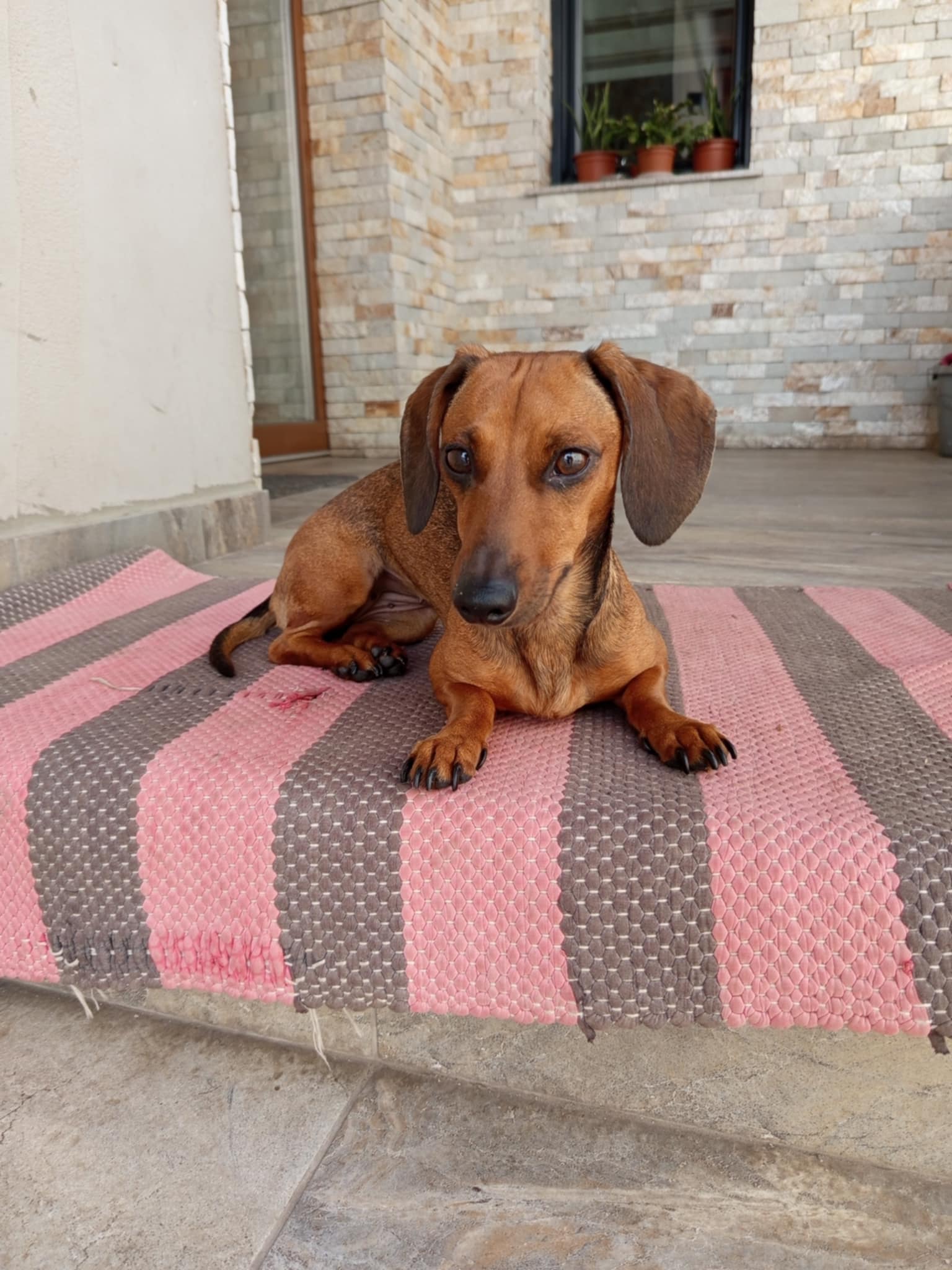 afe712bb-0bd4-4d08-93aa-1272a707b930