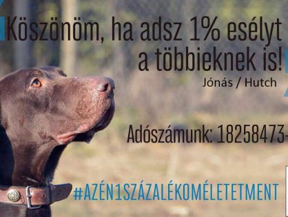 Adó 1% - Életet ment! - Kovács Patrícia, Gusztos Péter és Jónás/ex-Hutch