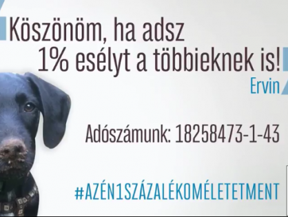 Adó 1% - Életet ment! - Urbanovits Krisztina és Ervin
