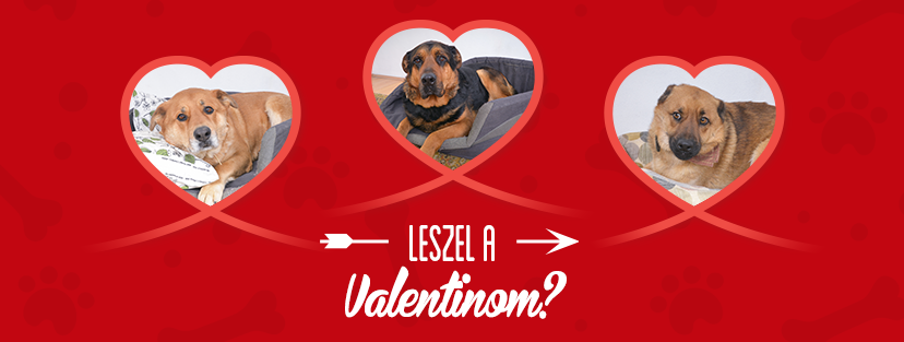 Leszel a Valentinom?
