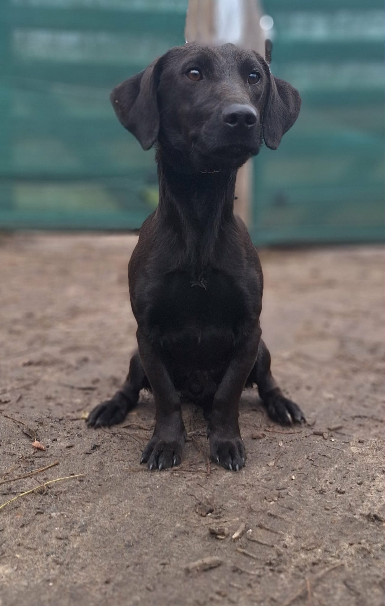 593542815_1300022842163663_2869966737465294294_n