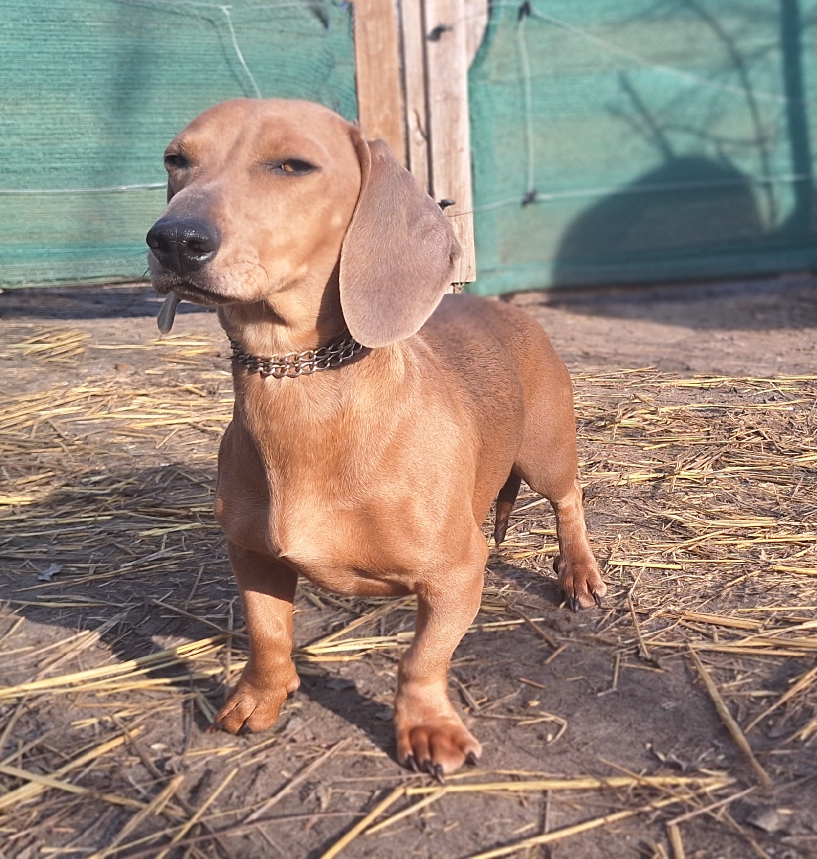 596274472_1301684591997488_4190718222183628356_n