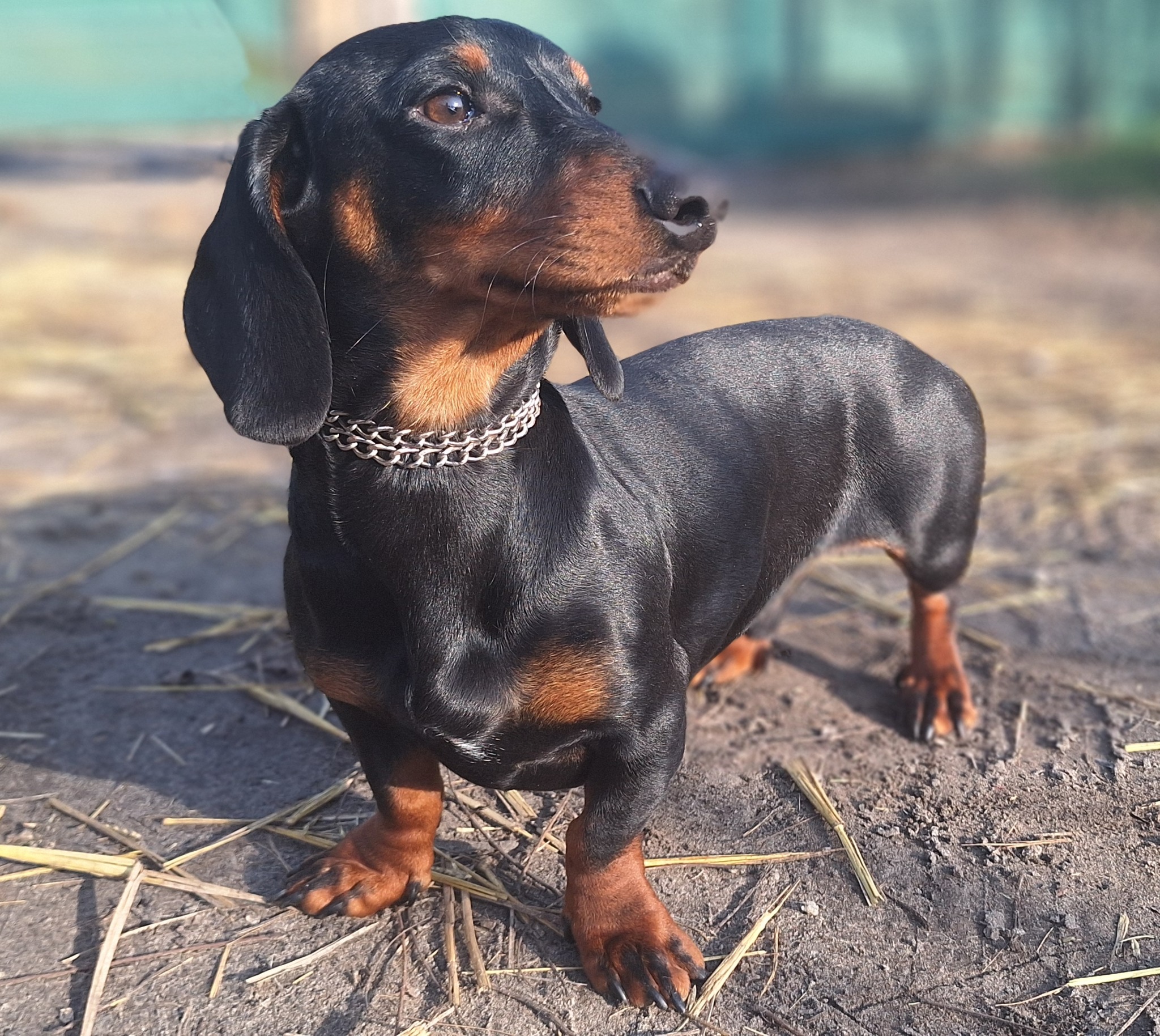 598131844_1301683738664240_856763711045705966_n