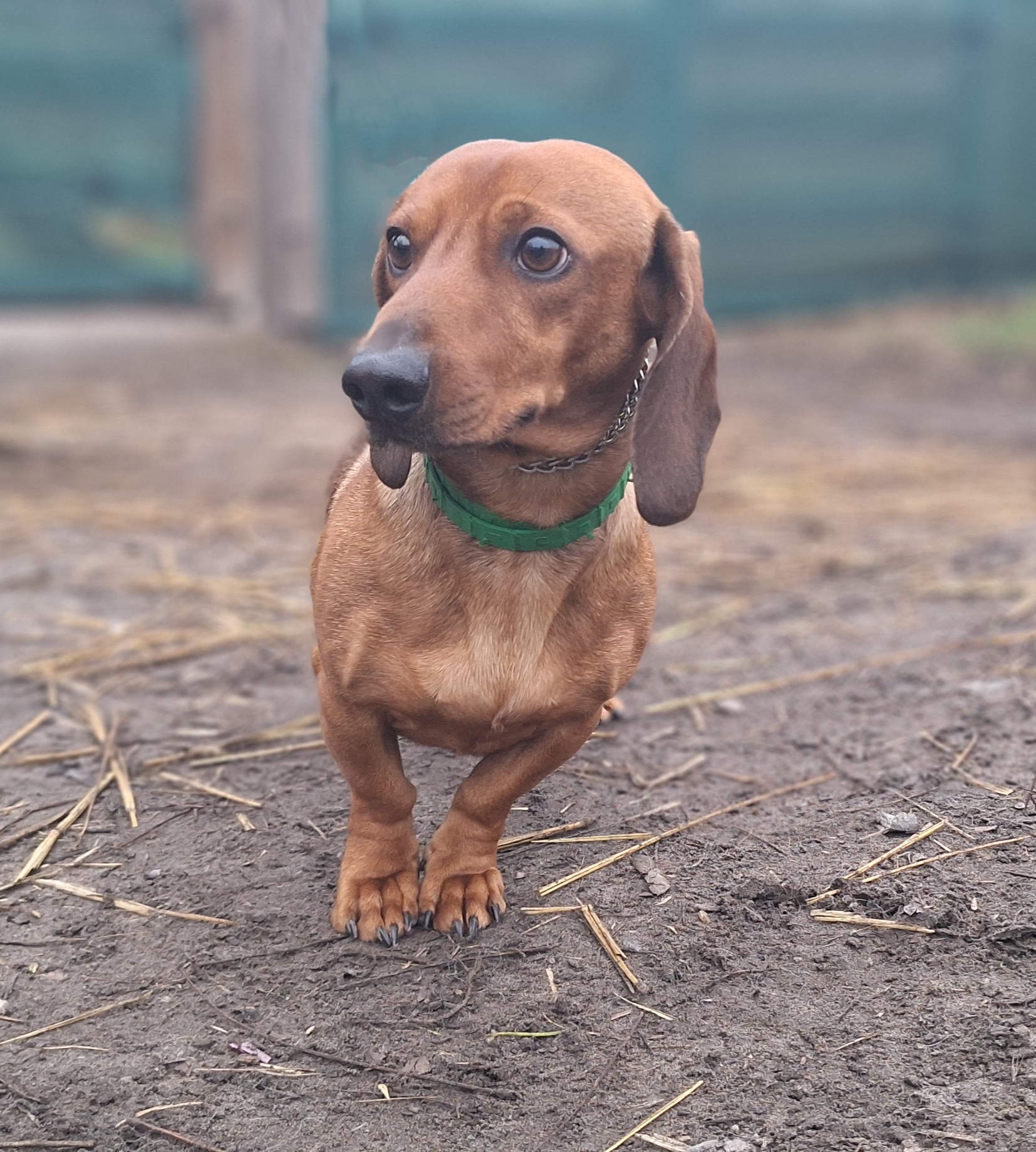 Picsart_25-12-13_16-00-50-275