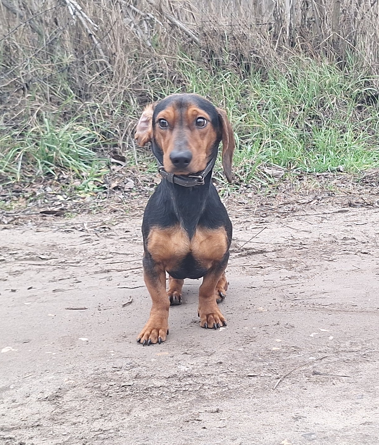 Picsart_25-12-21_15-27-14-652